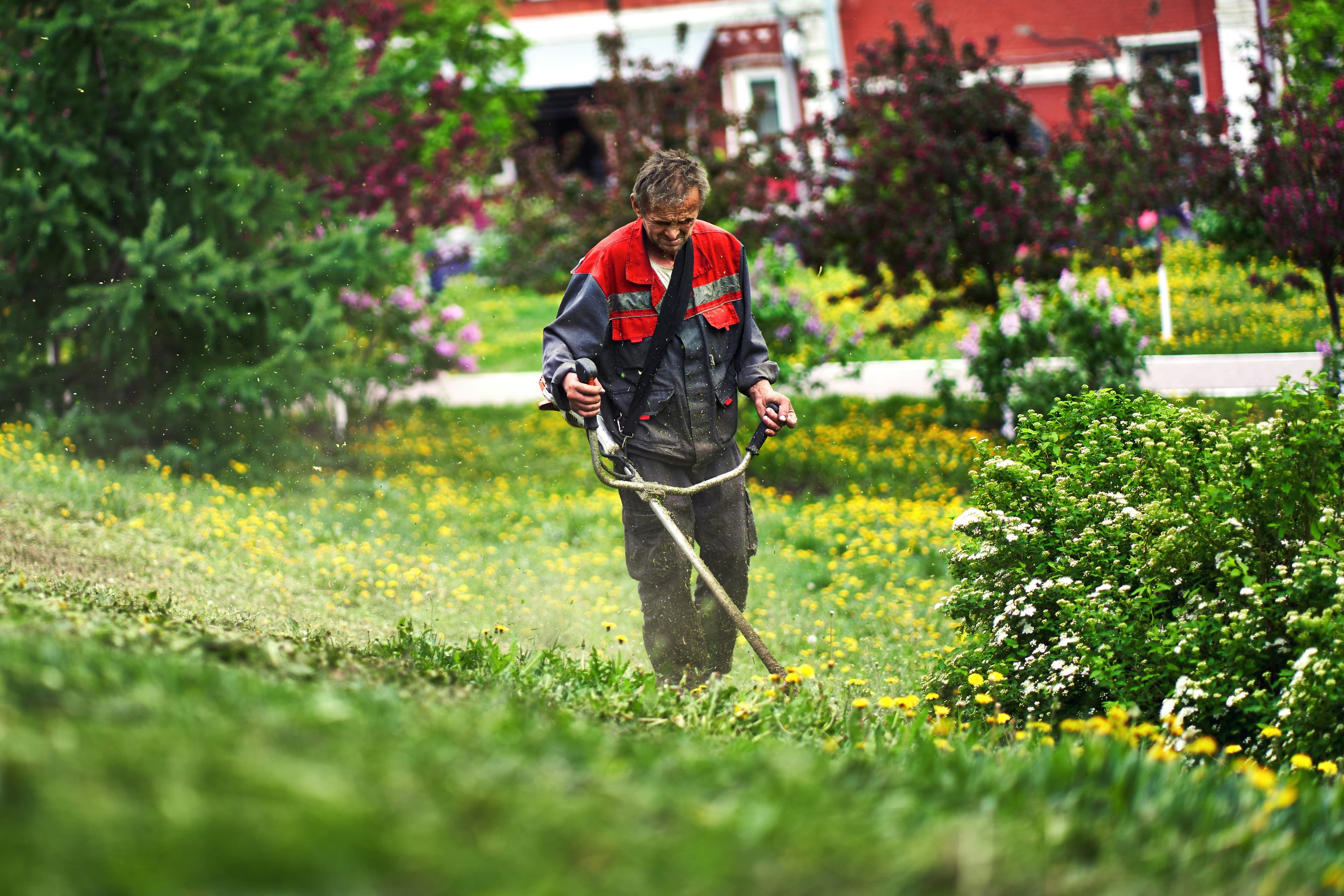 Gardener working